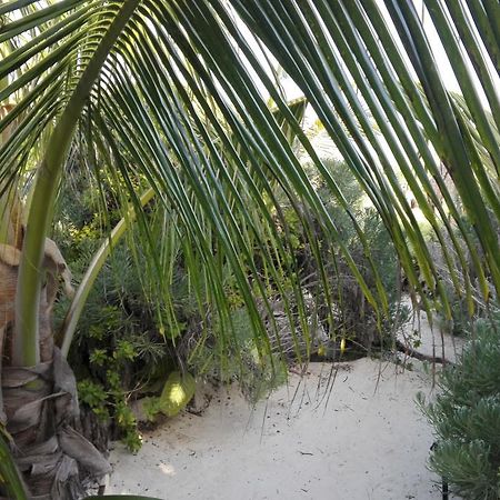 Eco Lodge Hotel Villa Tulum Exterior foto